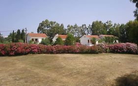 Nerissa Bungalows